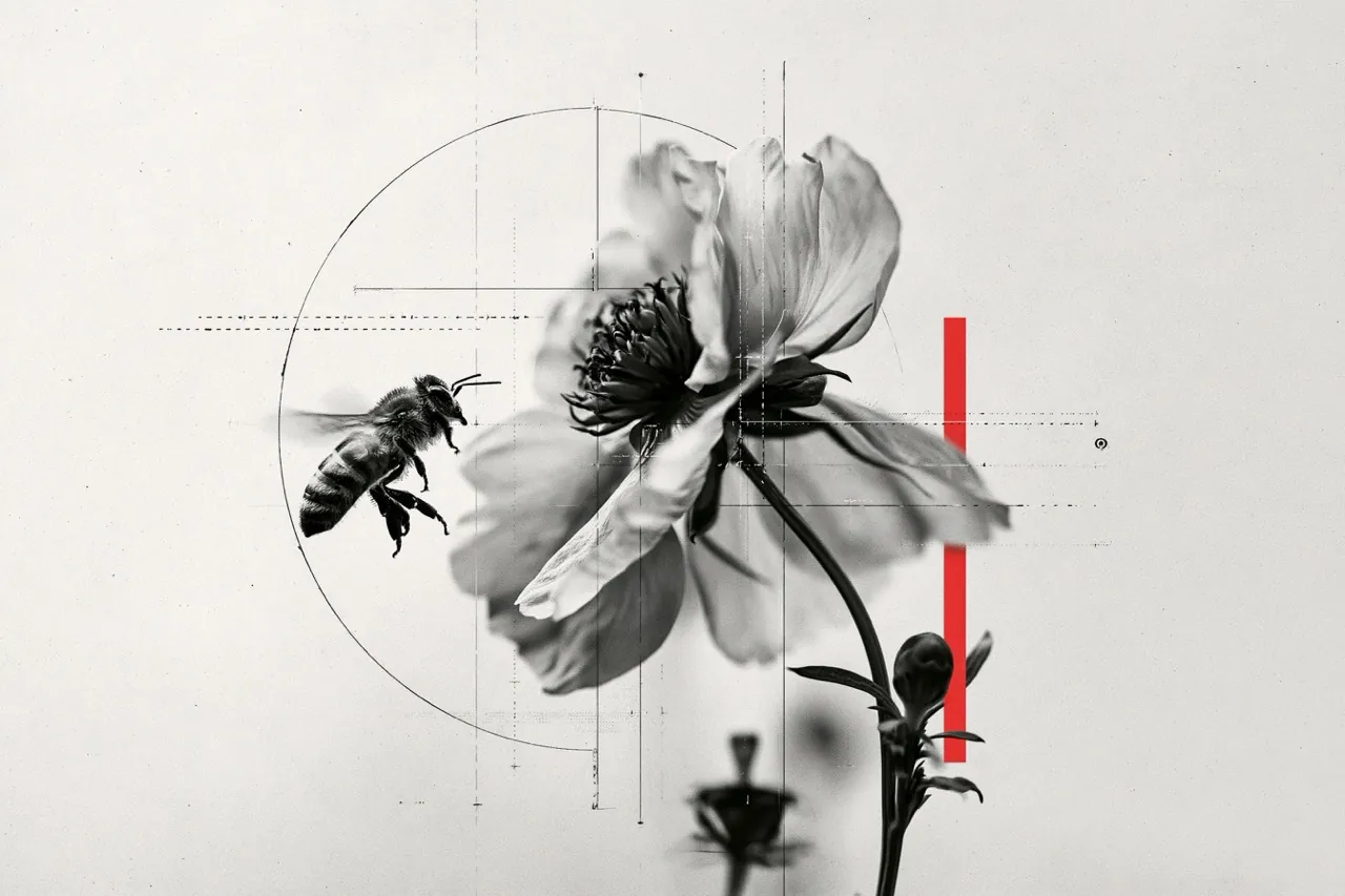 Bee finding the bloom, reach and being found
