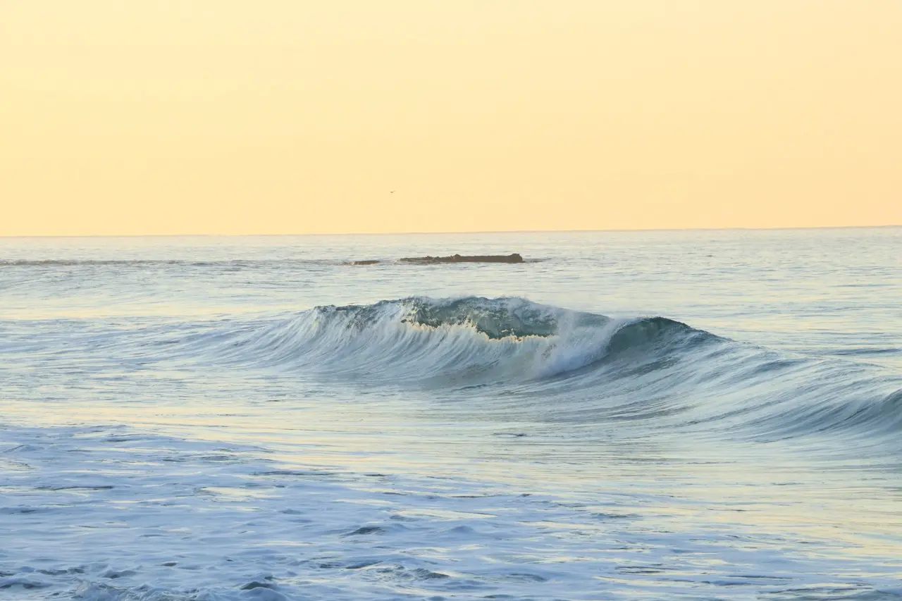 A single clean wave breaking under a pale gold sky, the water otherwise open and quiet.