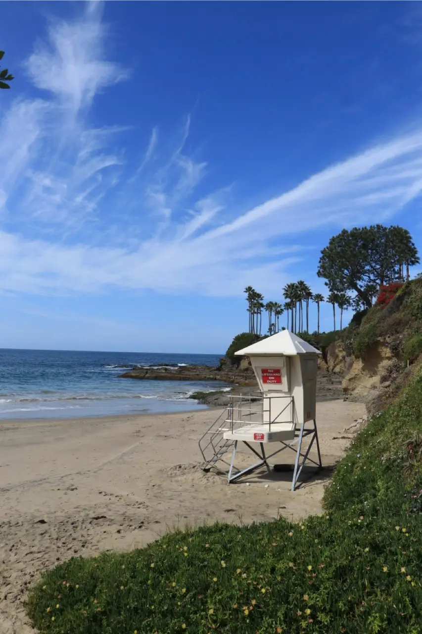 A white lifeguard tower on clean Laguna sand under a bright blue sky, palm trees along the bluff behind it and yellow-flowering ice plant in the foreground.