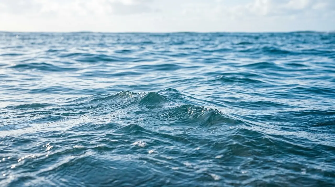 The open ocean surface in daylight, low blue swells folding over one another with no shoreline in view.