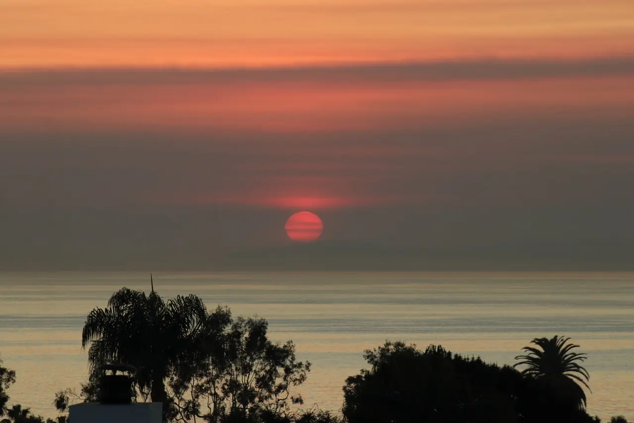 A red sun low in a hazy sky over the ocean, with palm and tree silhouettes along the bottom of the frame.