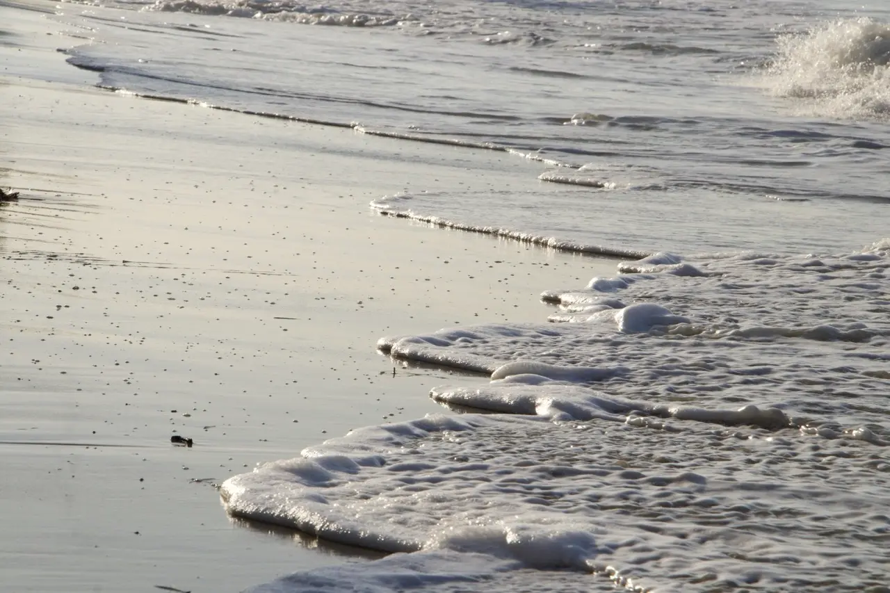 Close view of lines of white sea foam gathering and dissolving on wet sand at the edge of the surf.