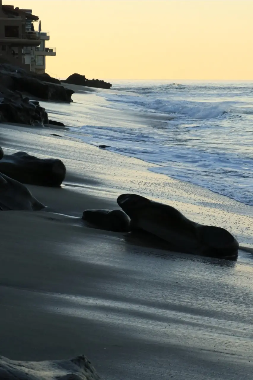 Dark rocks on wet sand against a warm cream sky, surf running in around them.